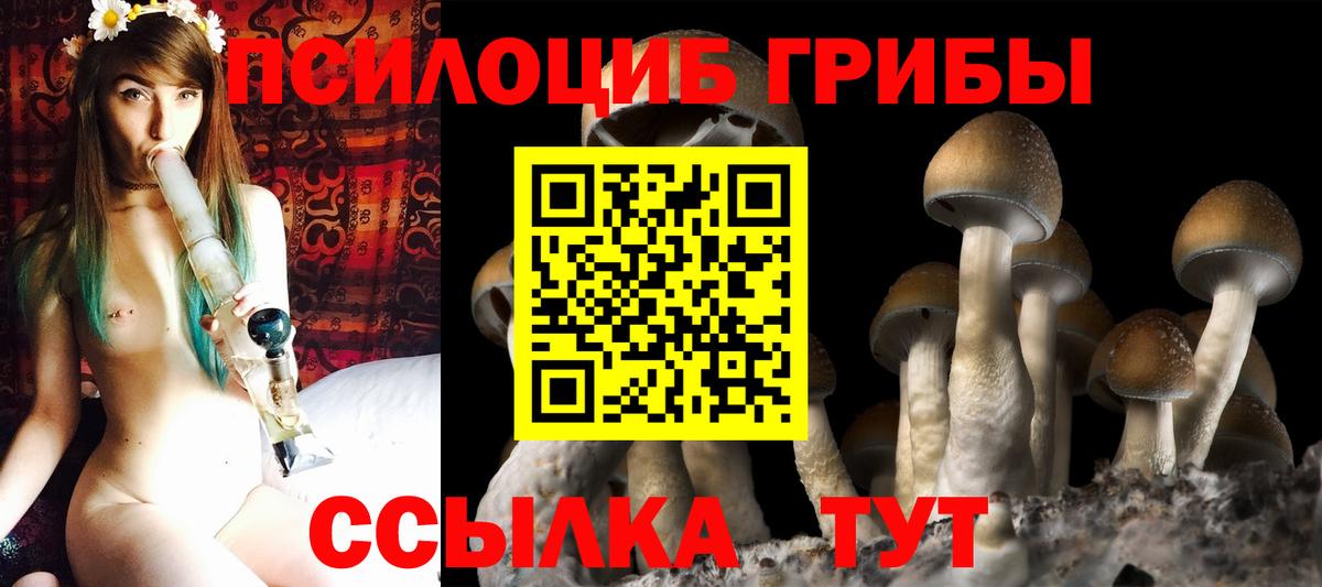 Псилоцибиновые грибы мицелий  Вход с VPN  Калач-на-Дону  Псилоцибиновые грибы мицелий 